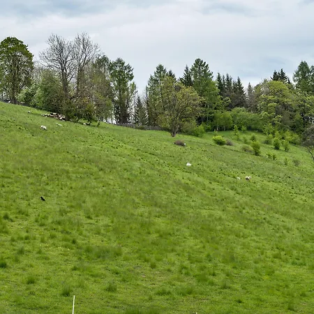 לינה וארוחת בוקר Jan זקופאנה