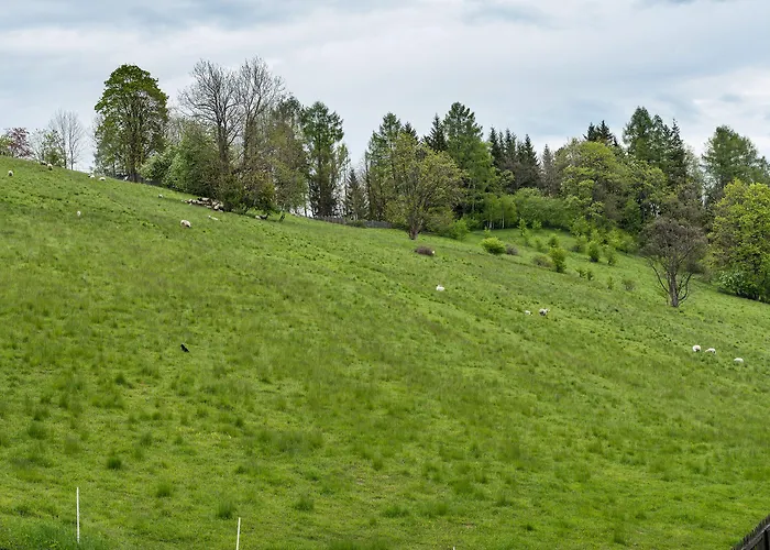 Bed & Breakfast Jan Zakopane